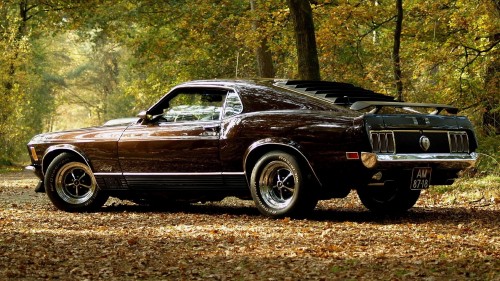 vehicles_cars_ford_mustang_boss_spoiler_wings_wheels_shine_muscle_old_retro_classic_landscapes_leaves_trees_forest_autumn_fall_seasons_roads_street_2048x1152.jpg