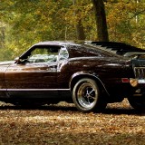 vehicles_cars_ford_mustang_boss_spoiler_wings_wheels_shine_muscle_old_retro_classic_landscapes_leaves_trees_forest_autumn_fall_seasons_roads_street_2048x1152