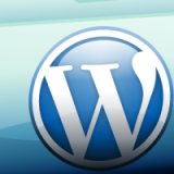 wordpress-folder-icon-1005123511-320x200